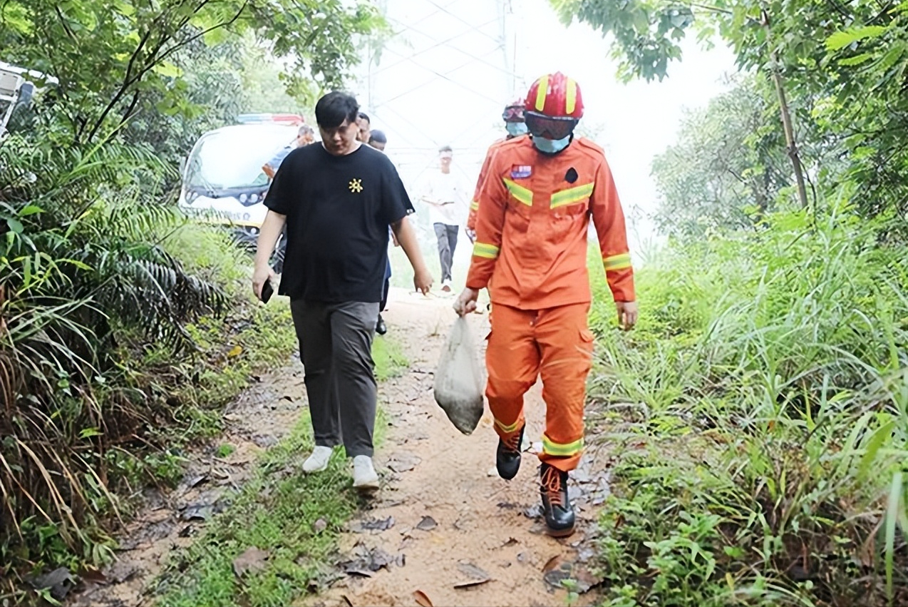 家里进蛇能打死吗（浅谈家中进蛇该怎么办）(图10)