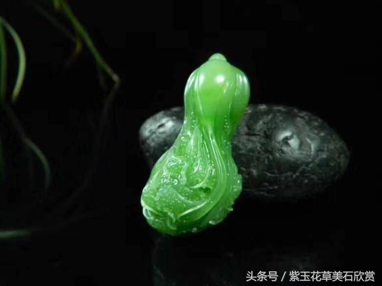 玉白菜的寓意是什么（分享玉白菜的美好寓意）(图1)