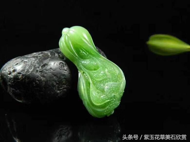 玉白菜的寓意是什么（分享玉白菜的美好寓意）(图2)