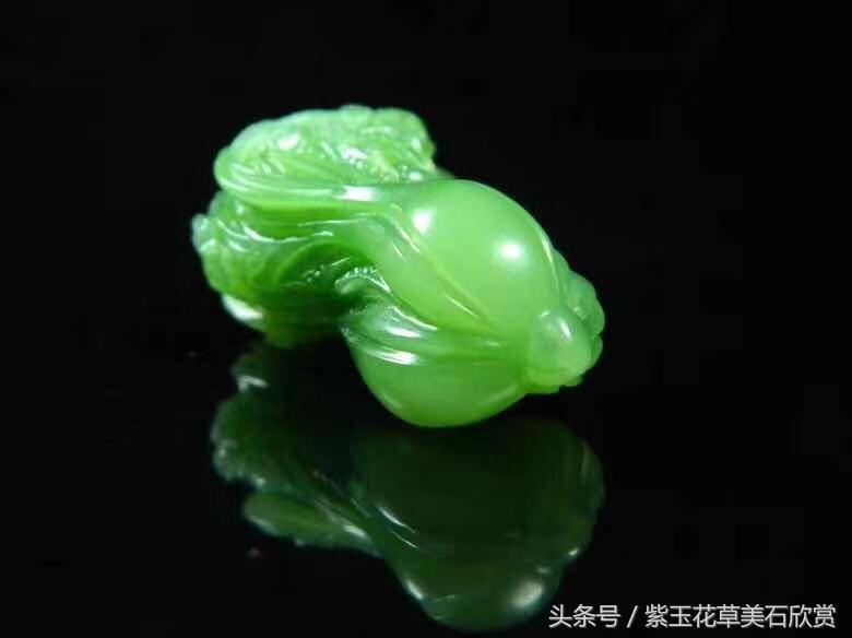 玉白菜的寓意是什么（分享玉白菜的美好寓意）(图4)