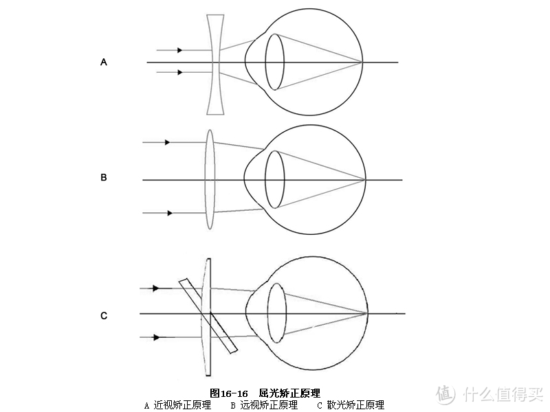 镜架tr90是什么材质（如何才能挑选到一副适合自己的眼镜）(图1)