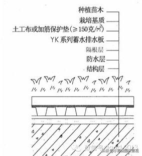 植草砖规格尺寸多少（景观施工标准做法）(图3)