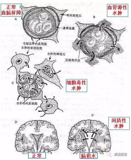 结合水是什么概念？（解密建筑中的“结合水”设计）(图4)