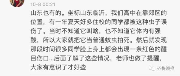 隐翅虫不简单，了解一下这种昆虫的特点和生态习性（隐翅虫的分类和习性特点）(图8)