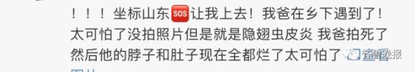 隐翅虫不简单，了解一下这种昆虫的特点和生态习性（隐翅虫的分类和习性特点）(图10)