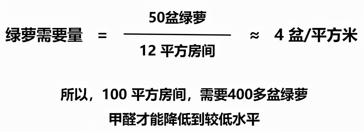 绿萝除甲醛真的有效吗？（科学解析植物净化空气能力）(图6)