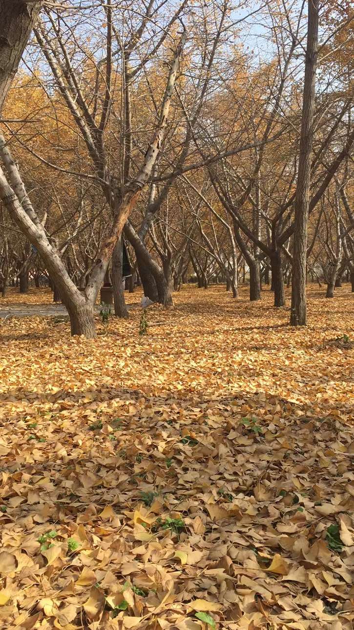 旅游贵在心情还是景色（了解旅游心态调整建议）(图3)