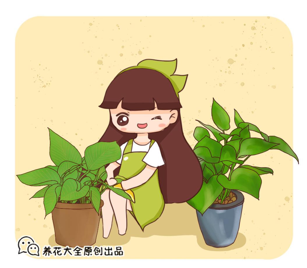 绿萝扦插快速生根技巧分享（学习DIY绿植扦插，打造花园）(图1)