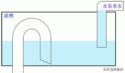 自制鱼缸滤水器的方法（高颜值养鱼新招式）(图1)