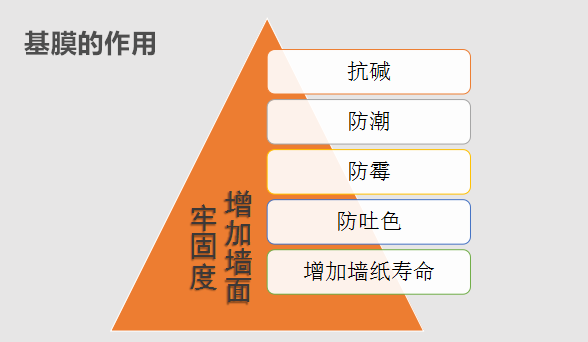 基膜的作用及其应用（生物医药学渊源探究）(图4)