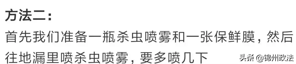 房间卫生问题解决（如何去除黑色小虫子）(图6)