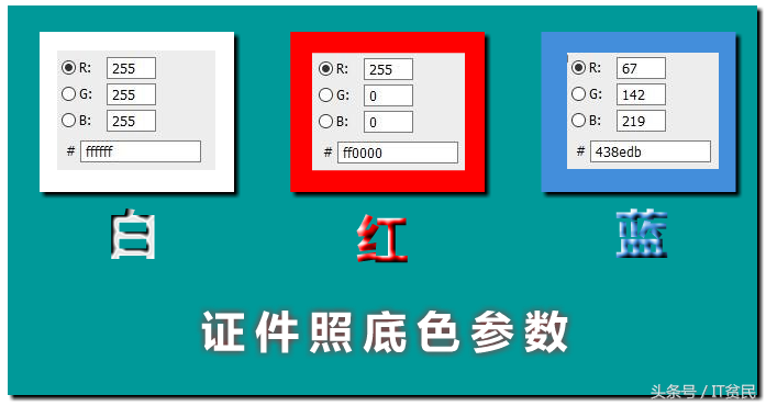 一寸照片尺寸详解，你所不知道的大小（了解照片常见尺寸）(图2)