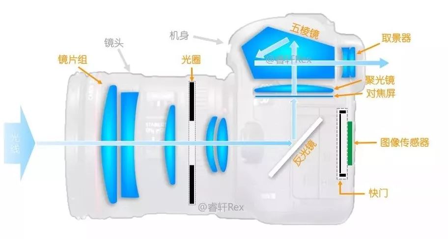 单反相机是什么？新手必读（功能、优缺点详解）(图4)