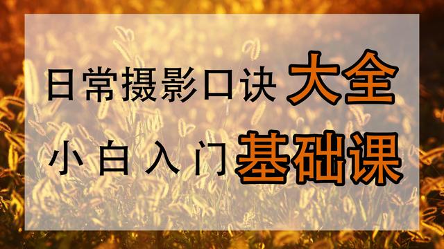 相框组合（创意相框组合，让您的照片更有艺术感）(图15)