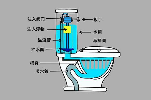 抽水马桶原理(抽水马桶通过排泄物与水的混合流动，利用重力和压力实现排污)(图1)