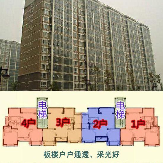 板楼建筑的结构和特点（了解板楼建筑的结构形式及其特点）(图2)