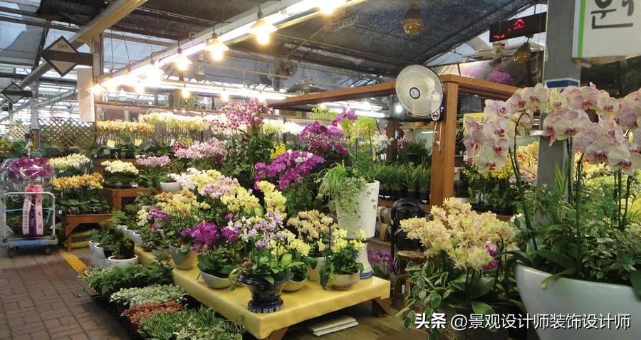 花店装修图：精致高雅的花店设计案例（布局灯光与陈设搭配）(图12)