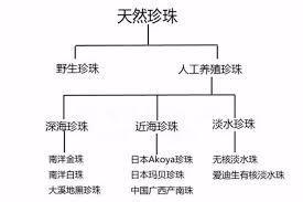 海水珍珠和淡水珍珠的区别（了解海水珍珠和淡水珍珠的产地、颜色和质地等方面的差异）(图1)