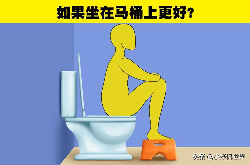 坐式马桶怎么使用？（如何正确使用马桶的知识）(图1)