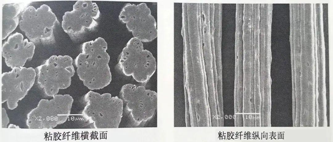 人造棉是什么材质？（人造棉有什么特点？）(图3)